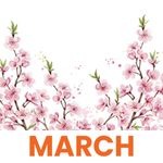 March 1