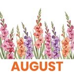 August 1