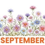 September 1