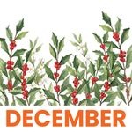 December 1