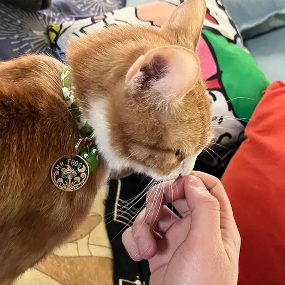 Personalized Engraved Pet Name Mushroom Moon ID Tag, Retro Style Anti-loss Dog/Cat Collar Charm with Custom Backside Text, Gift for Pet Owners/Lovers