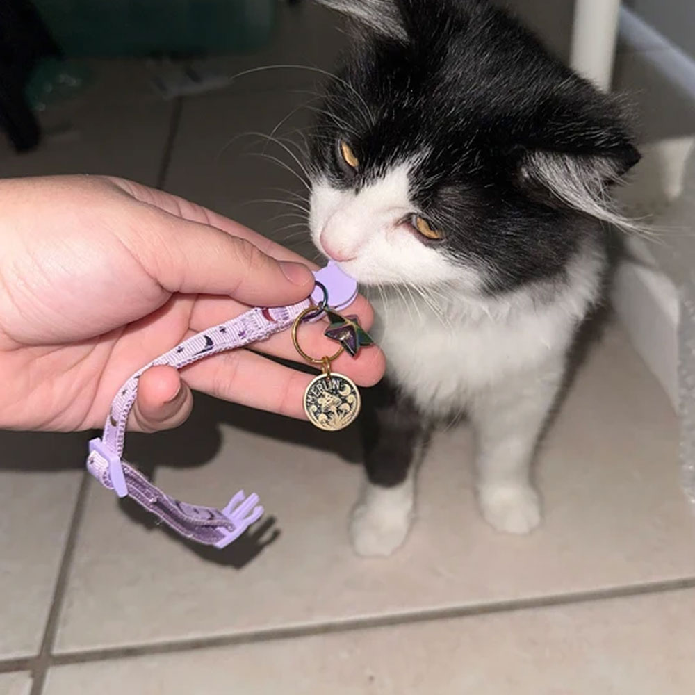 Personalized Engraved Pet Name Mushroom Moon ID Tag, Retro Style Anti-loss Dog/Cat Collar Charm with Custom Backside Text, Gift for Pet Owners/Lovers