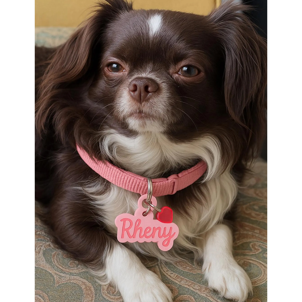 Médaille personnalisée en acrylique avec breloque pour animal de compagnie, médaille d'identification colorée personnalisée pour chien/chat avec pendentif mignon, breloque pour collier d'animal de compagnie, cadeau pour maître/maître de chien/propriétaire
