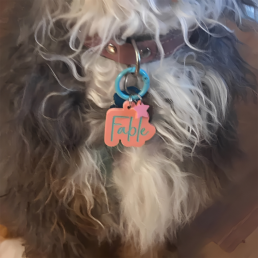 Médaille personnalisée en acrylique avec breloque pour animal de compagnie, médaille d'identification colorée personnalisée pour chien/chat avec pendentif mignon, breloque pour collier d'animal de compagnie, cadeau pour maître/maître de chien/propriétaire
