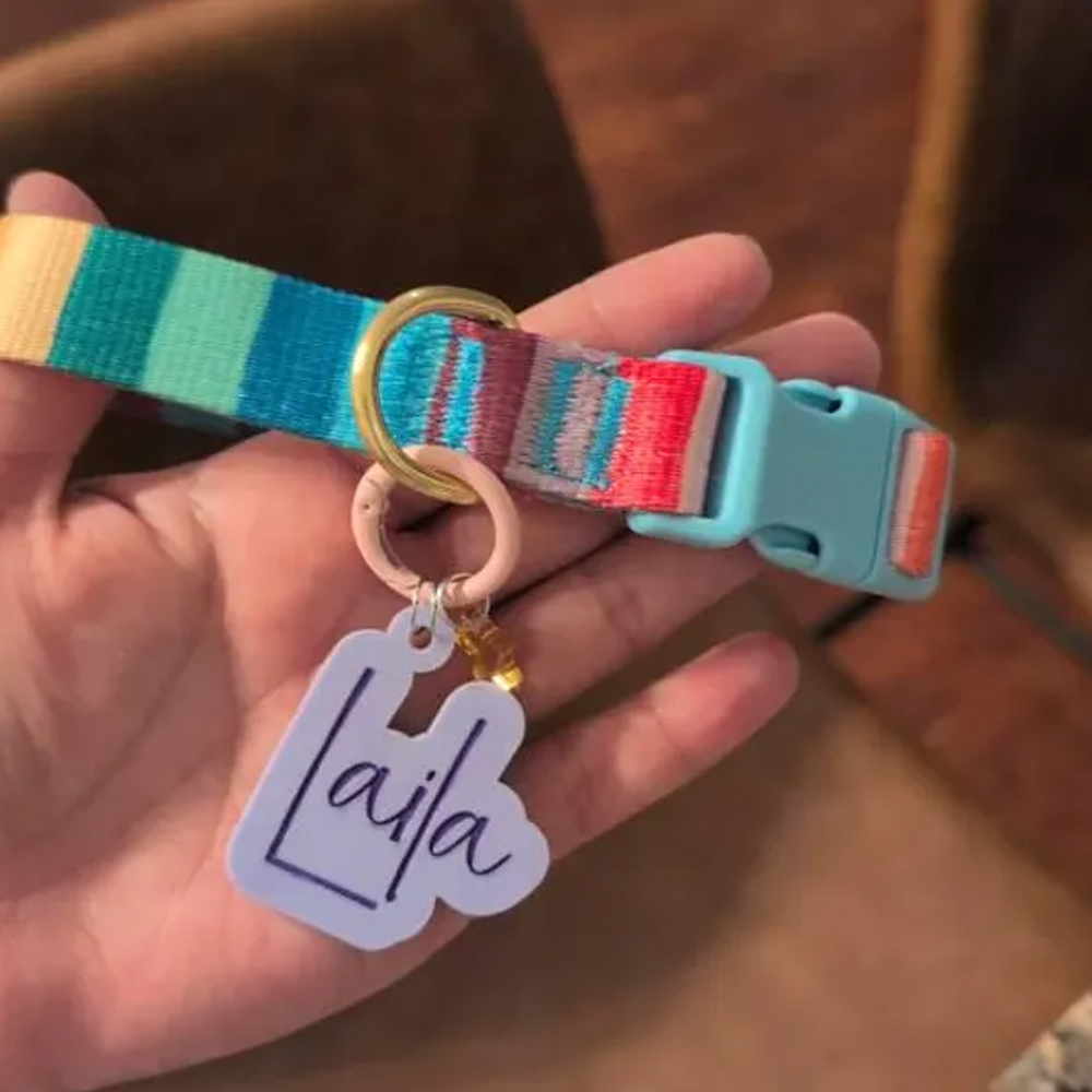 Médaille personnalisée en acrylique avec breloque pour animal de compagnie, médaille d'identification colorée personnalisée pour chien/chat avec pendentif mignon, breloque pour collier d'animal de compagnie, cadeau pour maître/maître de chien/propriétaire