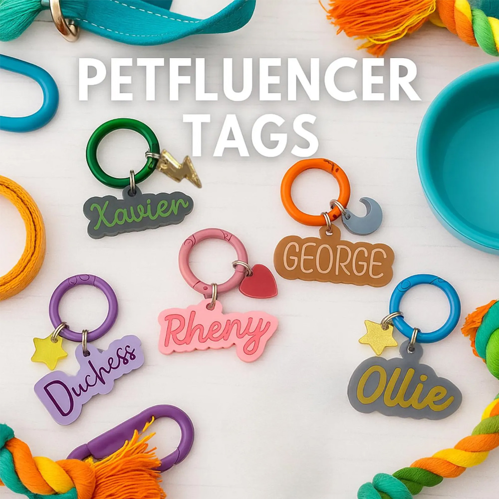 Médaille personnalisée en acrylique avec breloque pour animal de compagnie, médaille d'identification colorée personnalisée pour chien/chat avec pendentif mignon, breloque pour collier d'animal de compagnie, cadeau pour maître/maître de chien/propriétaire