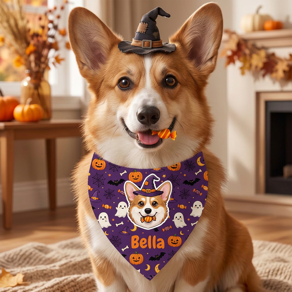 Personalized Dog Bandana, Custom Pet Name Halloween Print, Cute Puppy Scarf Spooky Triangle Bib Gift