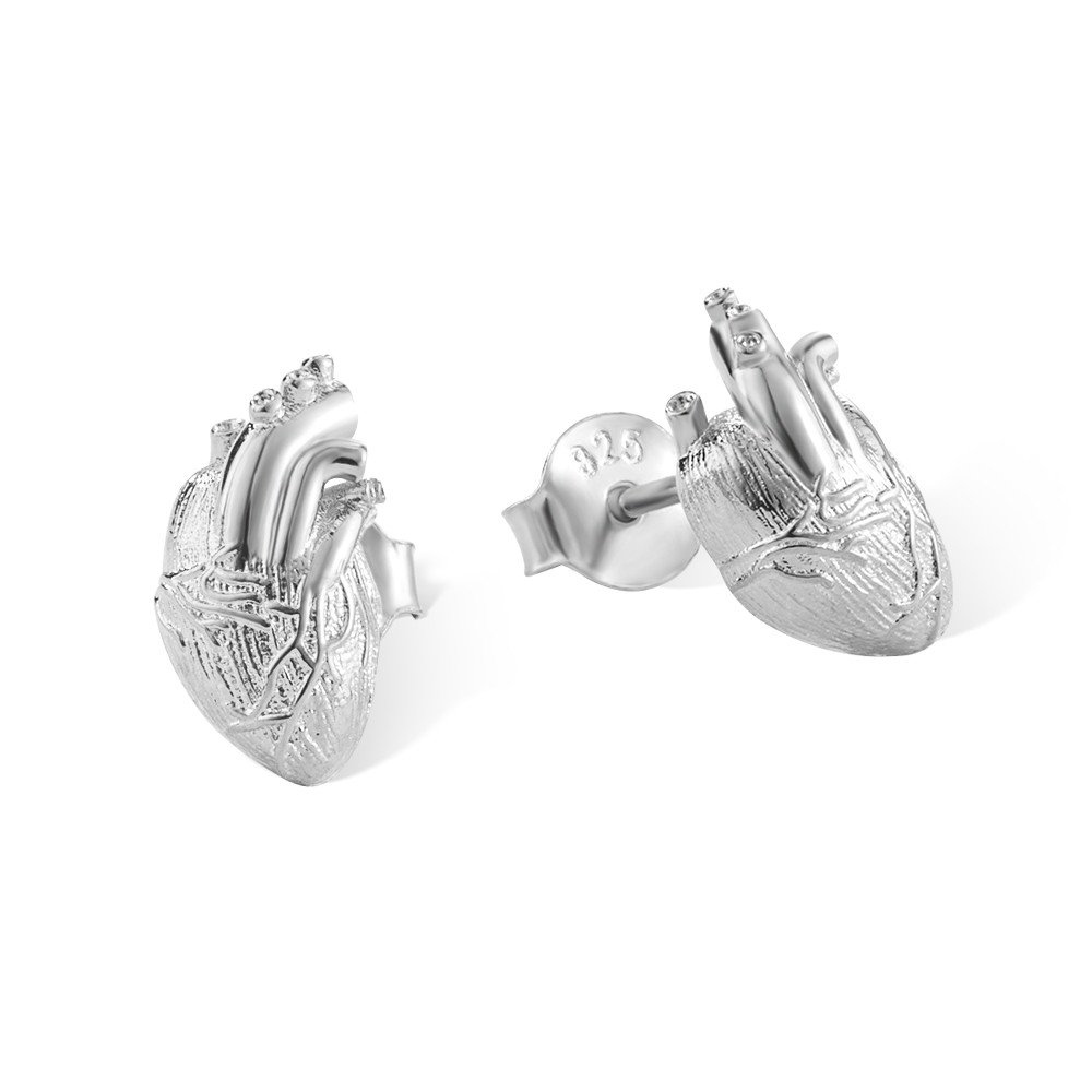 cuore anatomico