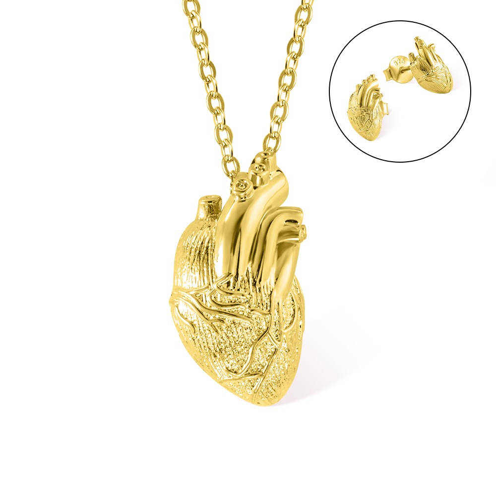 cuore anatomico