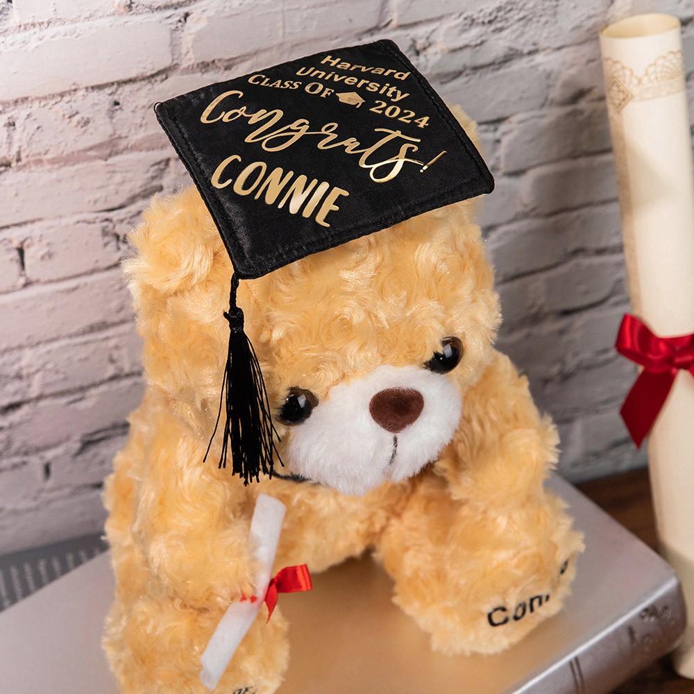 Custom Name Graduation Teddy Bear, Graduation Bear with School Badge, Graduation Gifts for Friends/Students/Kindergarten