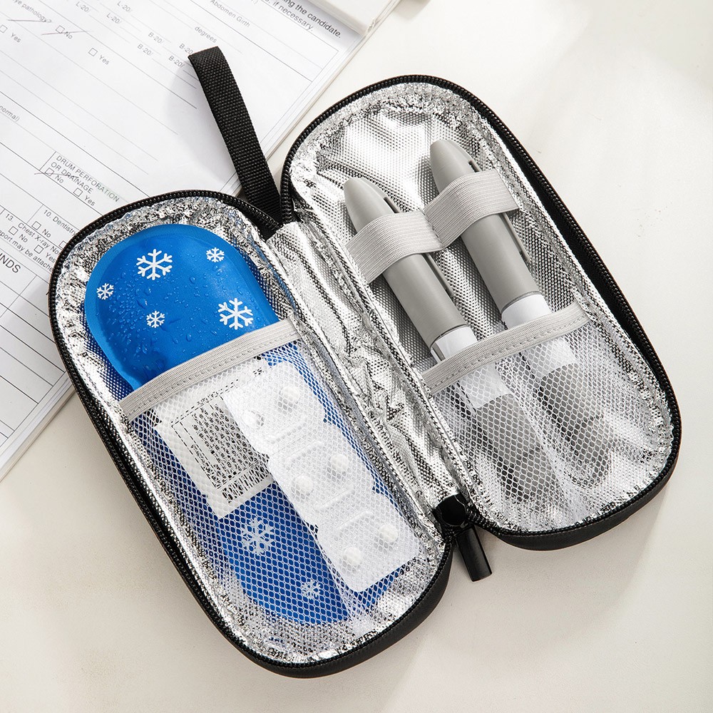Insulin travel case