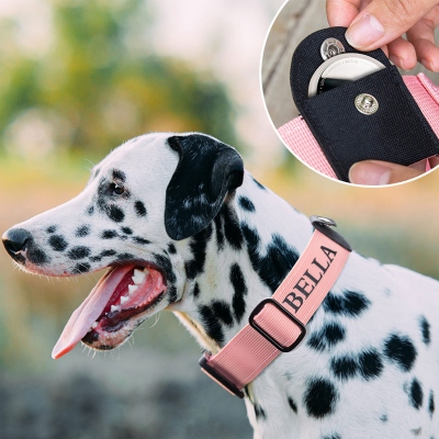 dog collars