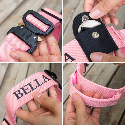 dog tactical collar