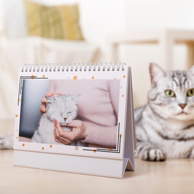 Calendar gift for dog mom/dad