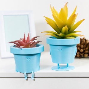 Roseinside | Personalized Cute Plant Pot
