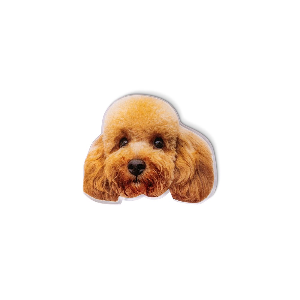 dog gift