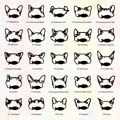 Katze