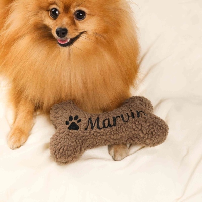 Pet Toy