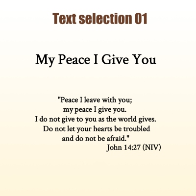 Text 1