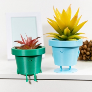 Personalized Cute Plant Pot