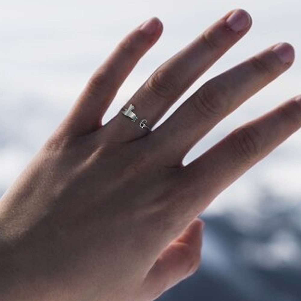 bague initiale