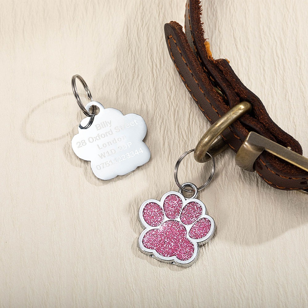 pet tag cat