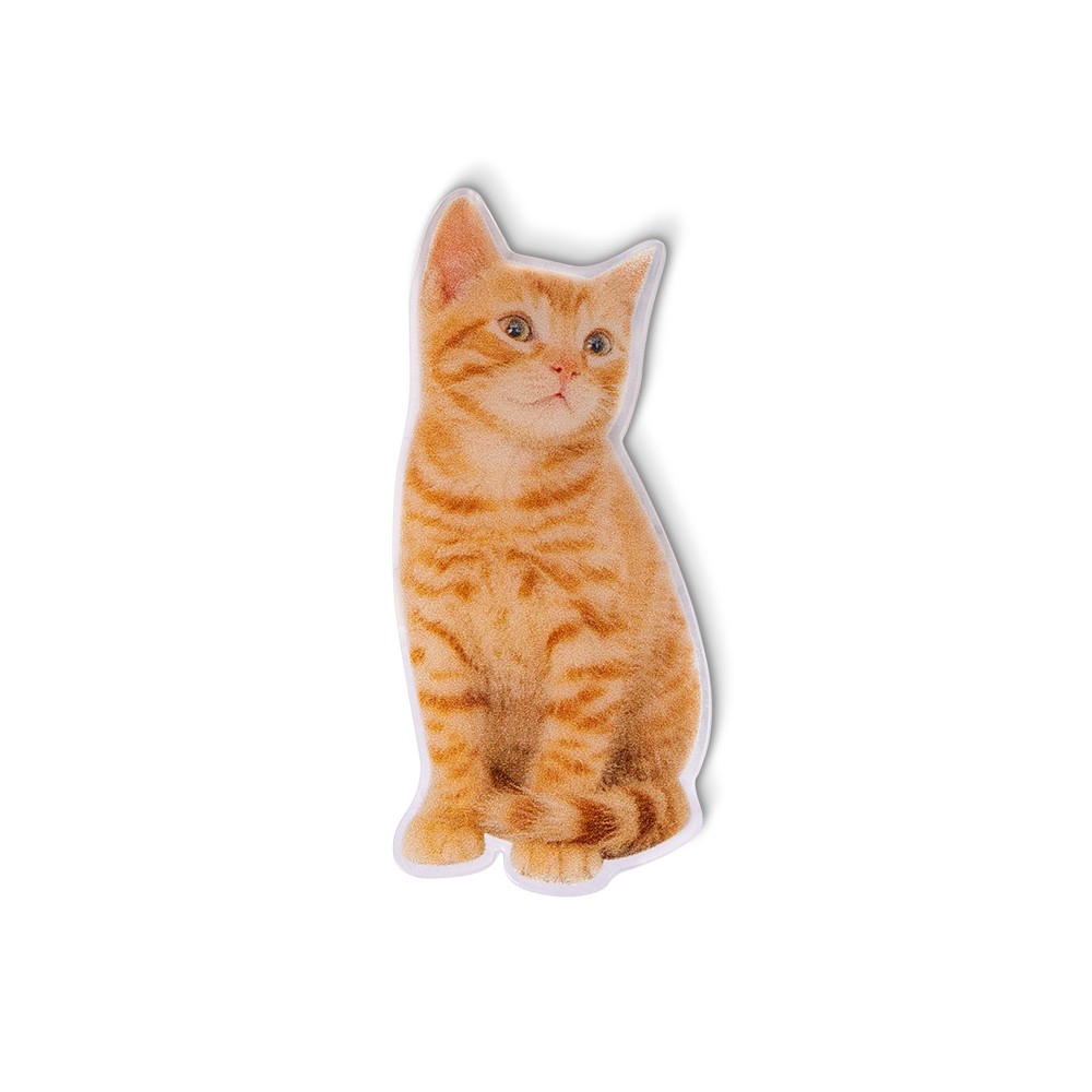 pet keepsake
