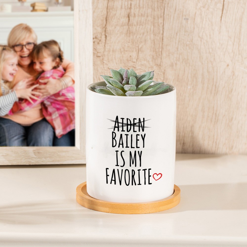 plant pot