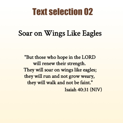 Text 2
