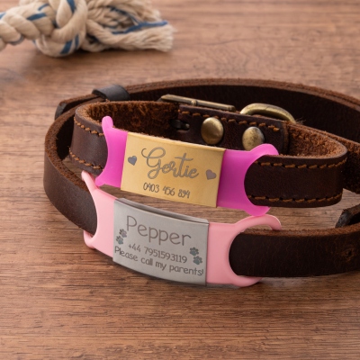 dog id tags