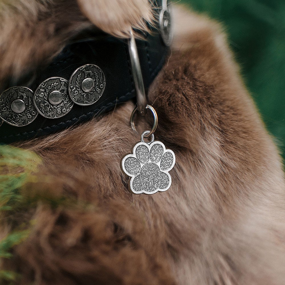 custom dog tag