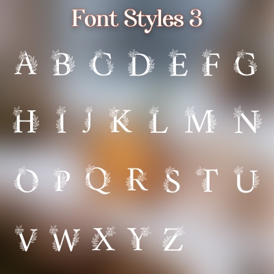 font 3