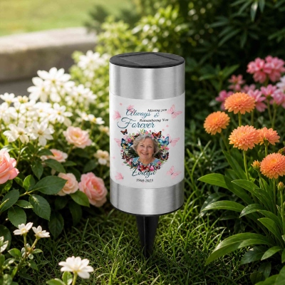 Solar Light