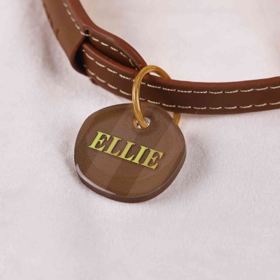 pet name tag