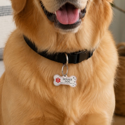 Service Dog Training