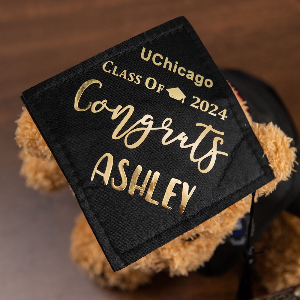 Custom Name Graduation Teddy Bear med skolmärke, plyschbjörn med Mortarboard, Graduation Gifts for Friends/Students/Kindergarten