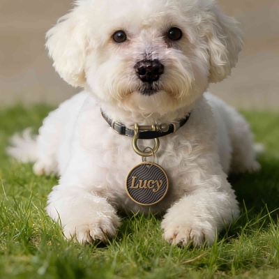 dog lover