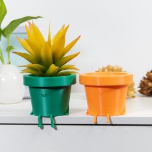 Personalized Cute Plant Pot