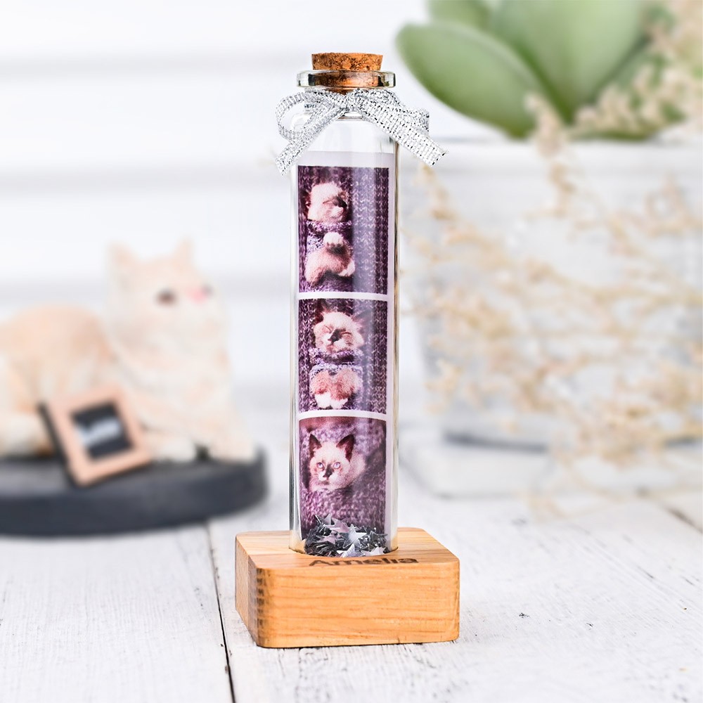 pet memorial gift