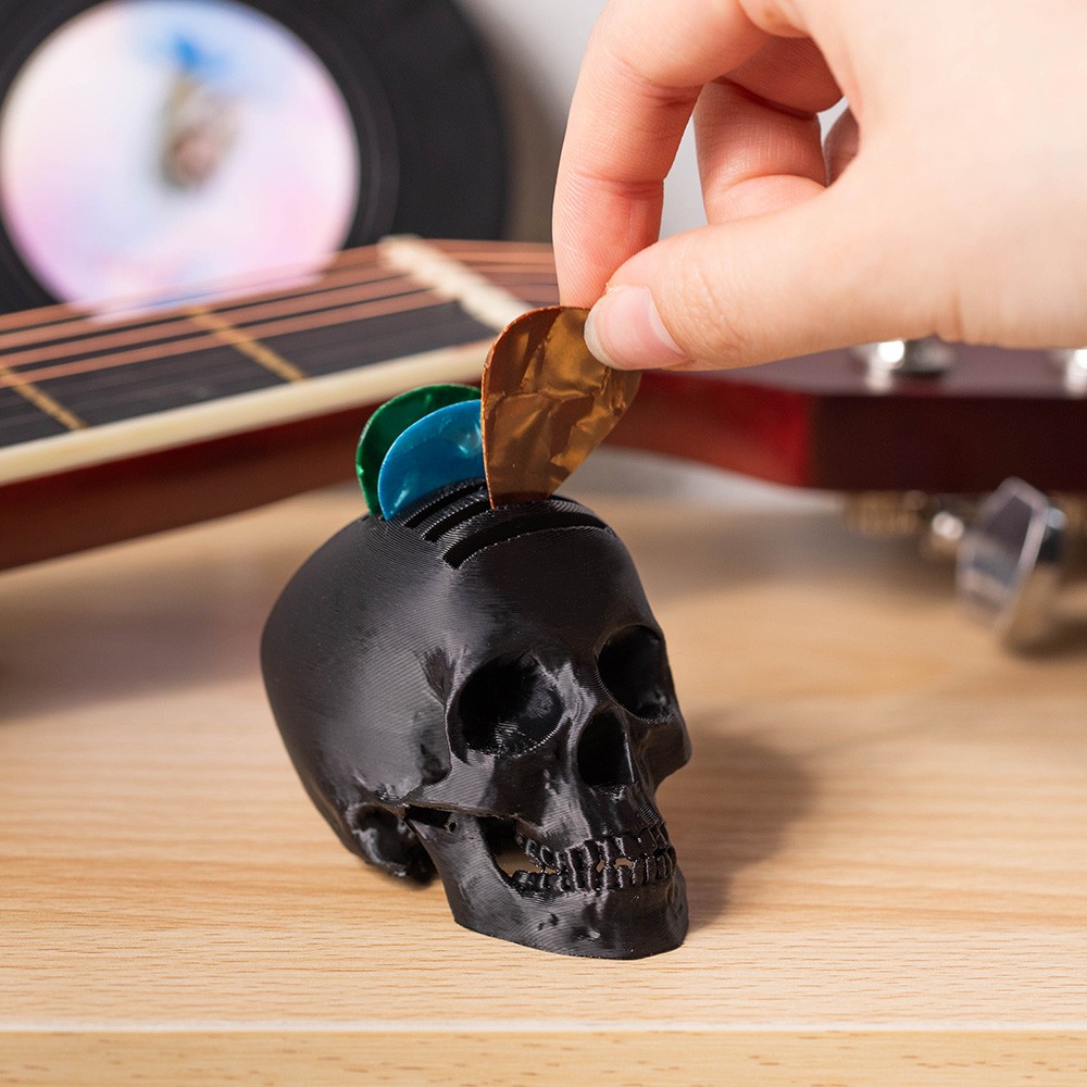 guitar gift