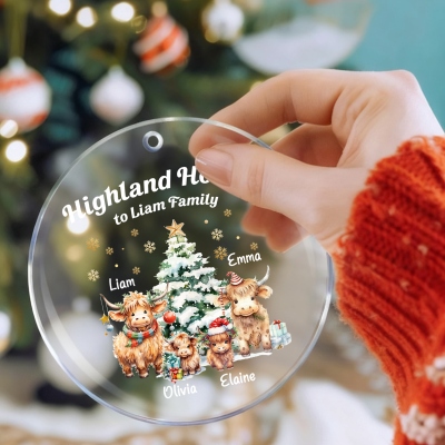 highland cow