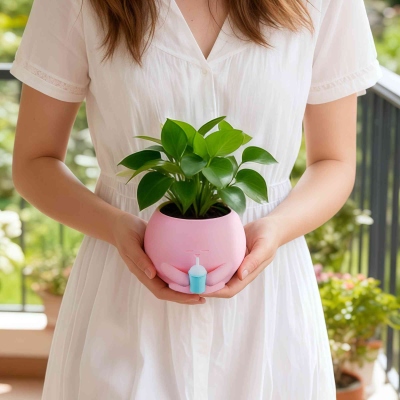 planter