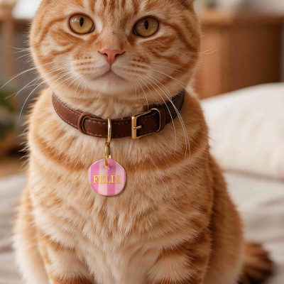 pet