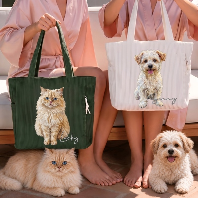 pet photo