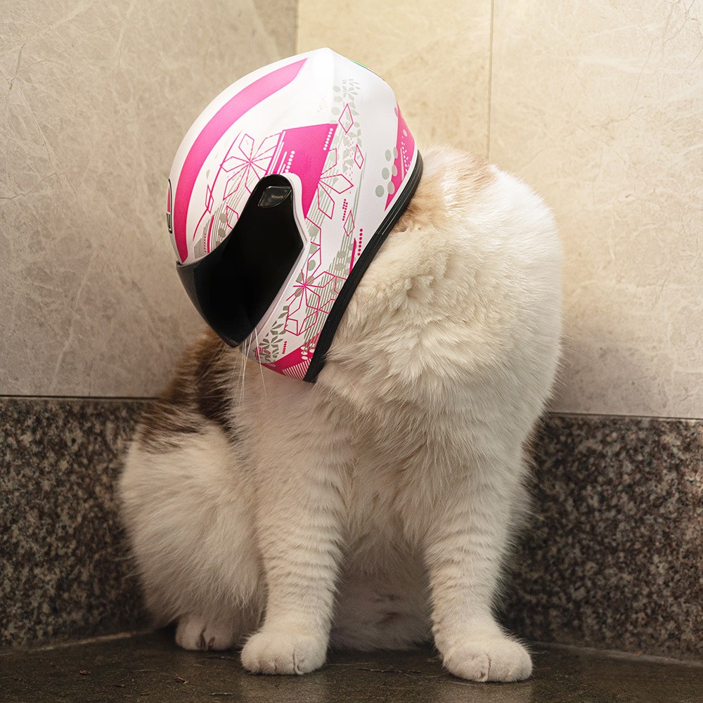 Poupée de jouets d'ours de moto, mini ours de moto avec des jouets de casque, ours de coureur avec le nom personnalisé, cadeau d'ours de tenue de motard de cavalier pour des amis