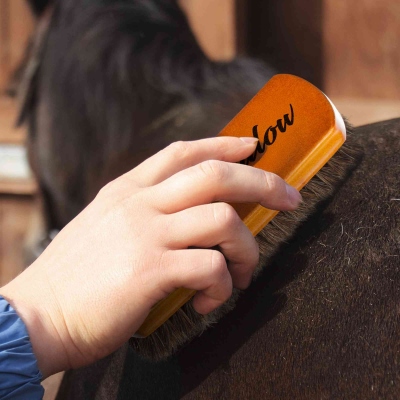 Geschenk für Pferdeliebhaber