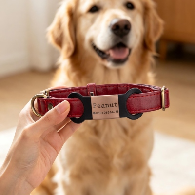dog mom