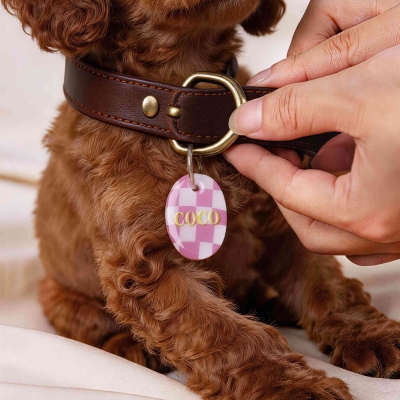 pet owner