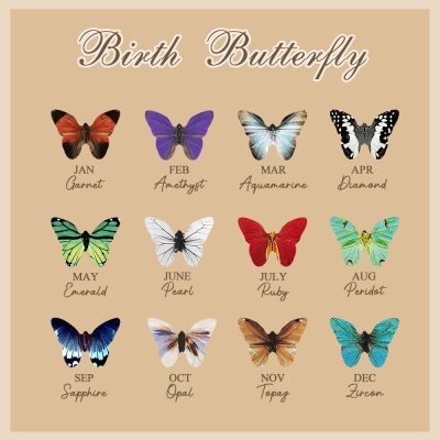 birth butterfly