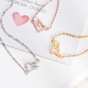 Dainty Sterling Sliver Tooth Necklace